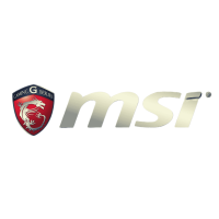 MSI